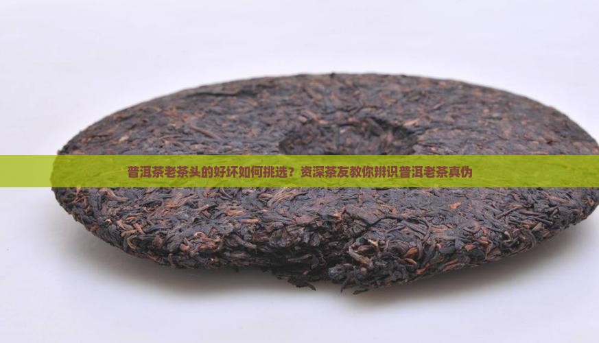 普洱茶老茶头怎么区分好坏