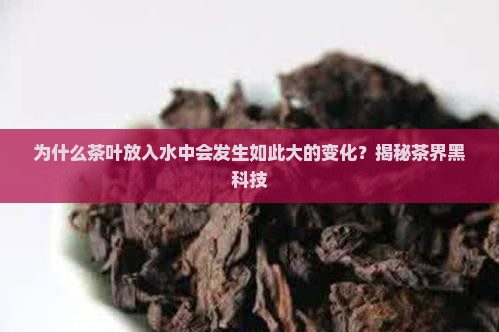 茶叶放入水中的变化