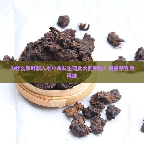 茶叶放入水中的变化