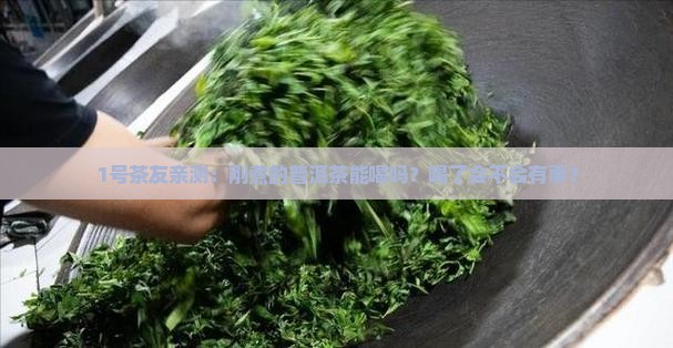 普洱茶第一炮可以喝吗