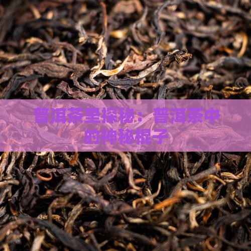 普洱茶中的棍子