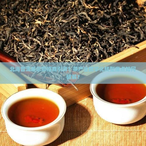 北海普洱茶总部招商引资