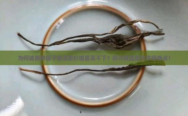 诚善碎银子普洱茶价格