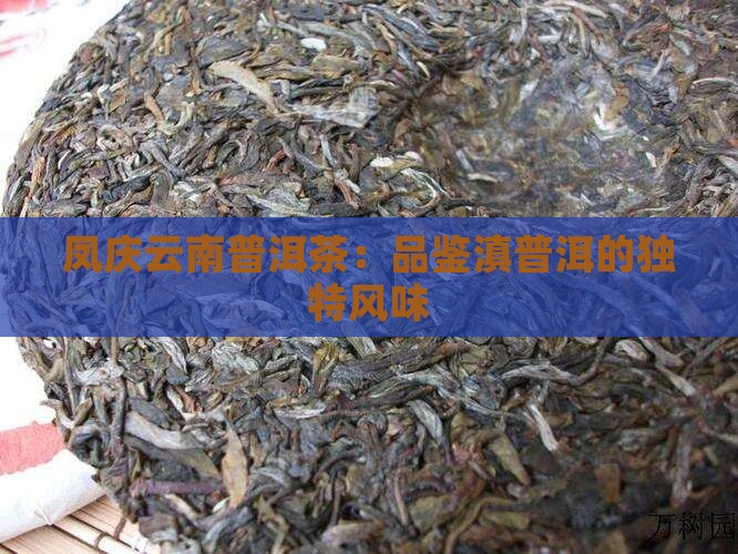 凤庆滇普洱茶怎么样