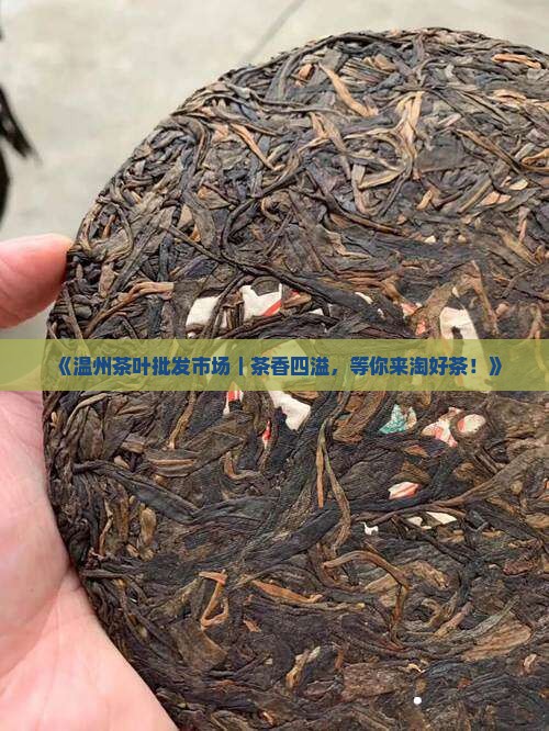 温州茶叶批发市场