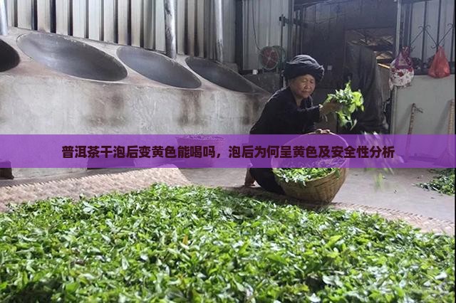 普洱茶干泡后变黄色能喝吗