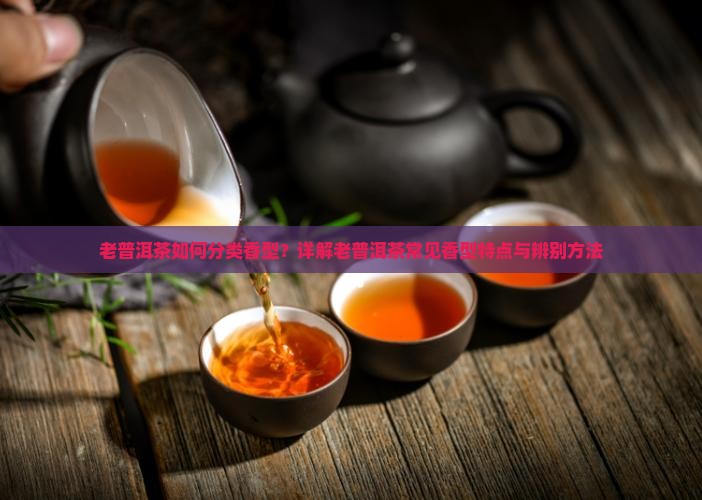 老普洱茶有几种香型
