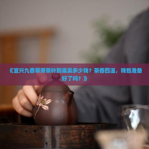 宜兴九香翠芽茶叶价格