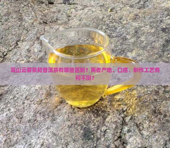 高山云雾和普洱茶的区别