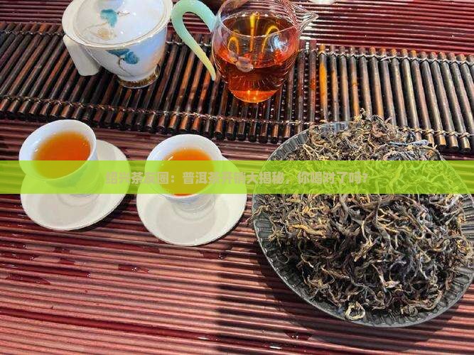 绍兴普洱茶费用