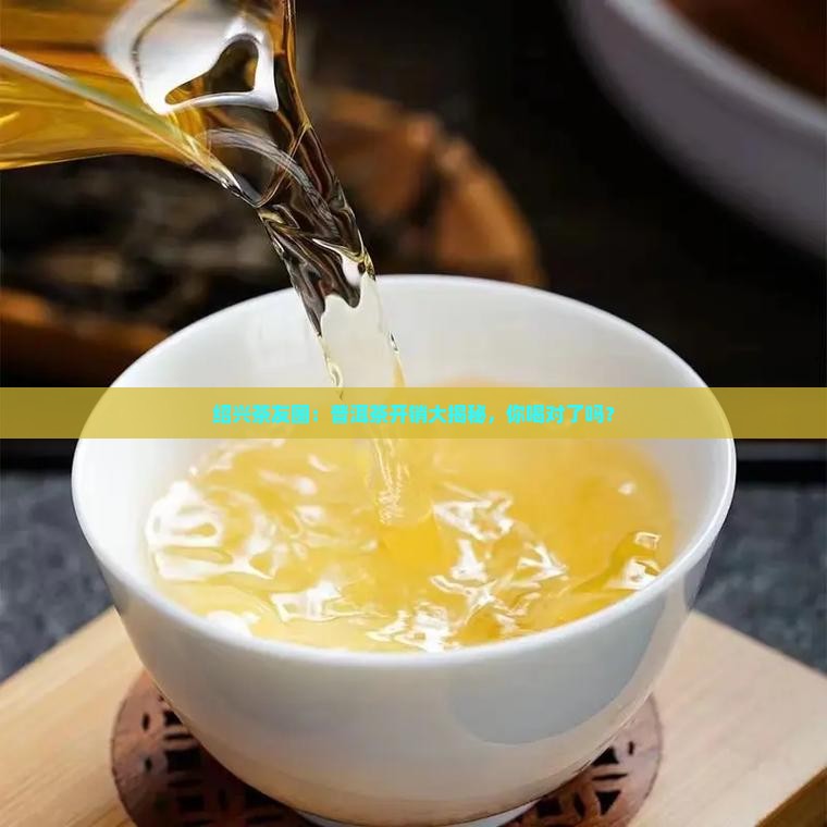 绍兴普洱茶费用