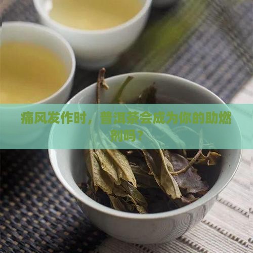 痛风发作期可以喝普洱茶吗