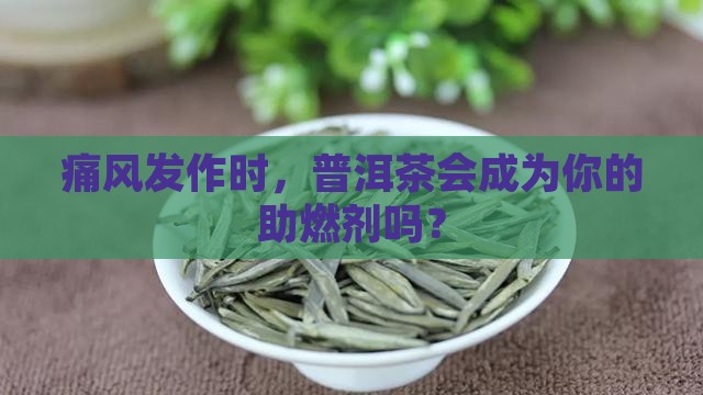 痛风发作期可以喝普洱茶吗