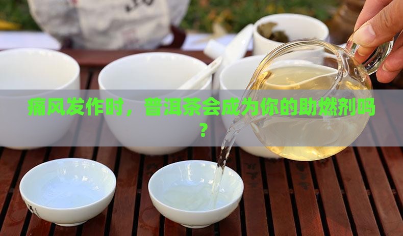 痛风发作期可以喝普洱茶吗