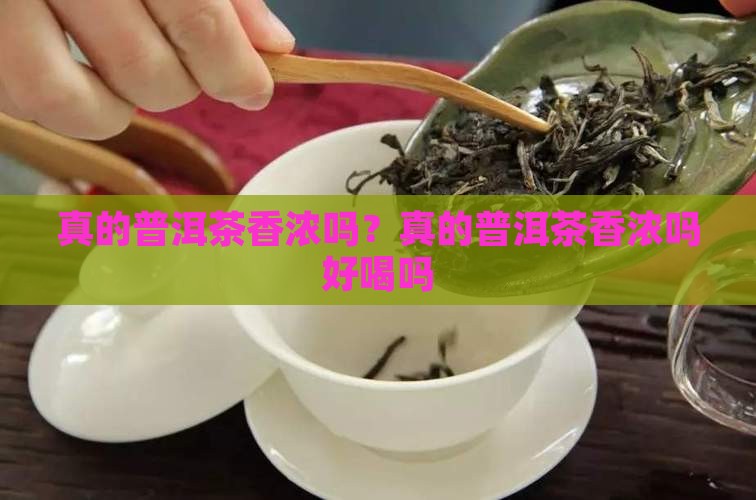 真的普洱茶香浓吗