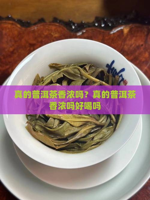 真的普洱茶香浓吗