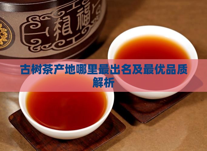 古树茶产地哪里
