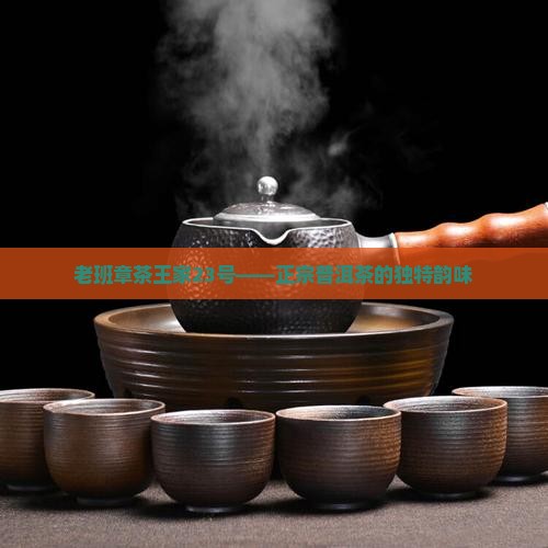 老班章村茶王家23号