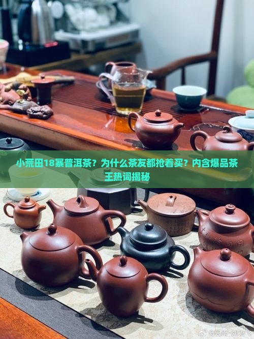 小荒田18寨普洱茶
