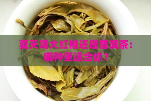 夏天喝大红袍还是普洱