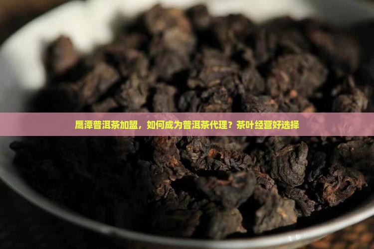 鹰潭熟普洱茶怎么代理
