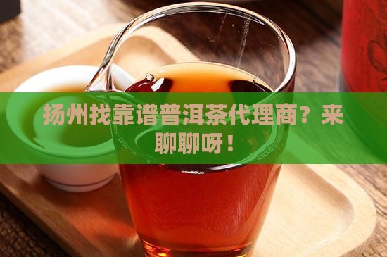 扬州可靠普洱茶招商代理