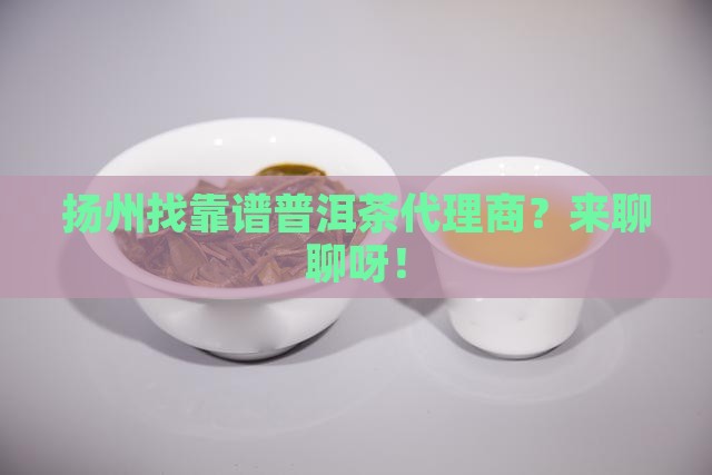 扬州可靠普洱茶招商代理