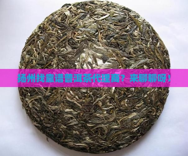 扬州可靠普洱茶招商代理