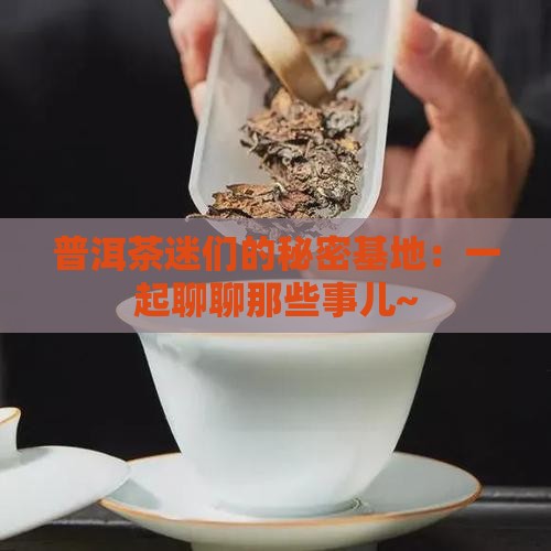 中国普洱茶友吧