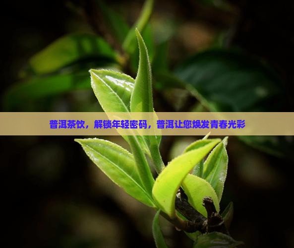 喝普洱茶年轻十岁