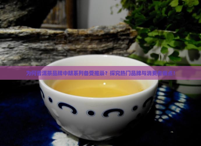 普洱茶朗什么牌子好