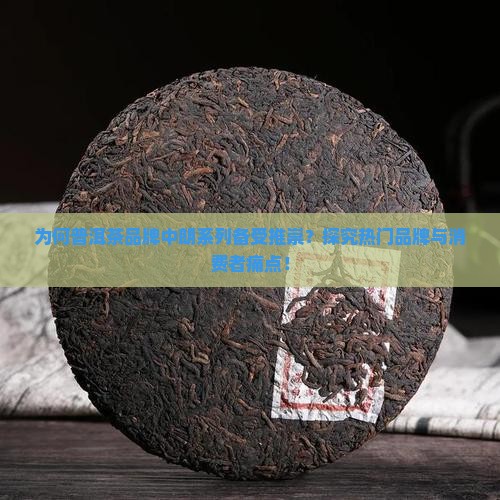普洱茶朗什么牌子好