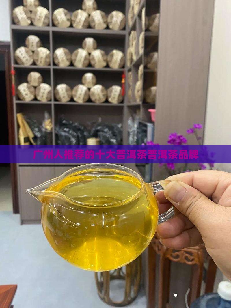 广州人喜欢喝的普洱茶有哪些