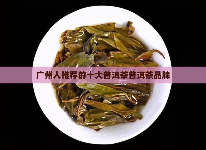 广州人喜欢喝的普洱茶有哪些