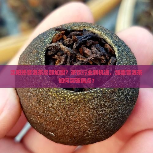 沈阳熟普洱茶总部加盟