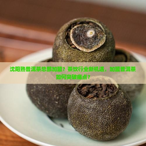 沈阳熟普洱茶总部加盟