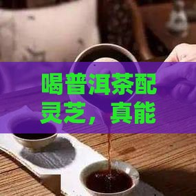 普洱茶灵芝祛湿