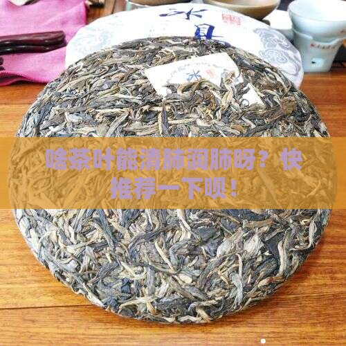 什么茶叶可以清肺润肺