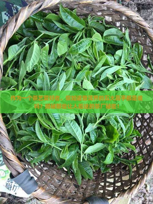 普洱茶五大茶厂是哪几个