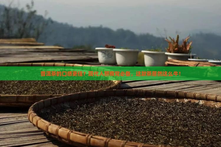 普洱茶的口感更佳