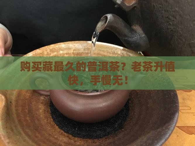 购买藏最久的普洱茶