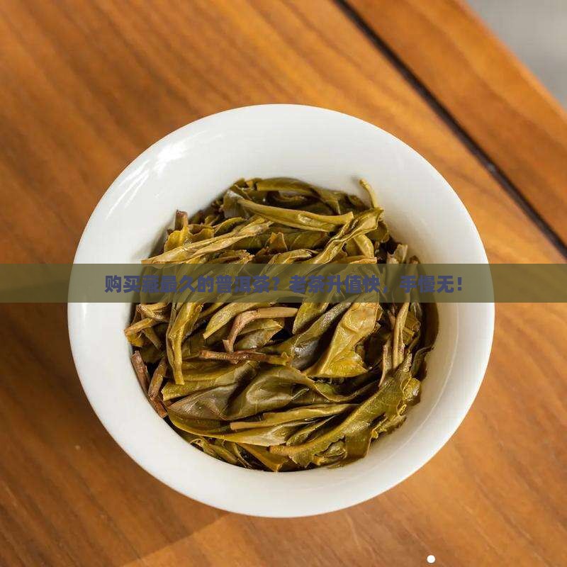 购买藏最久的普洱茶