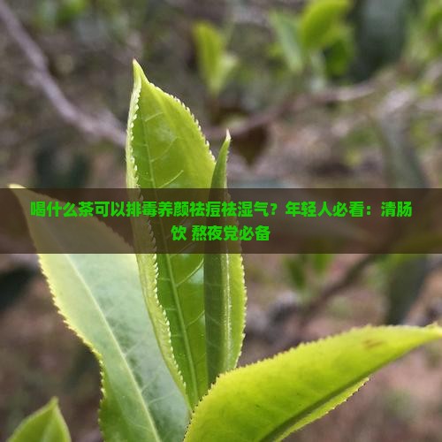 喝什么茶可以排毒养颜祛痘祛湿气 喝什么茶可以排毒养颜祛痘祛湿气