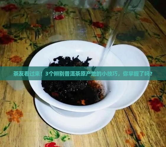 普洱茶原产地好茶分享