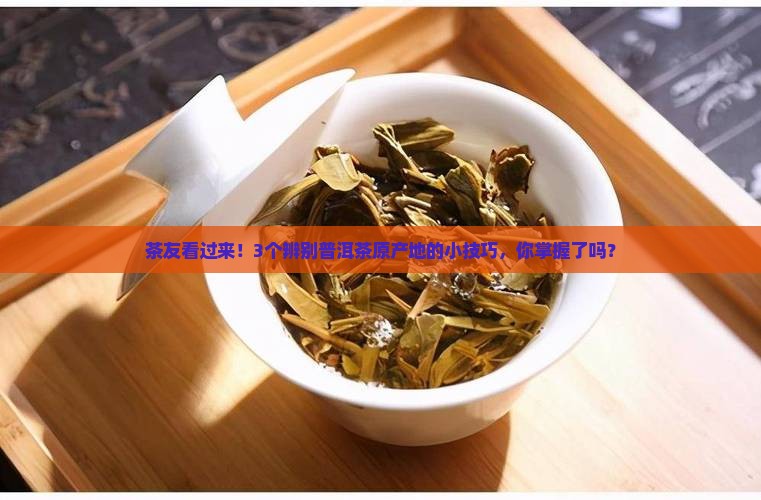 普洱茶原产地好茶分享