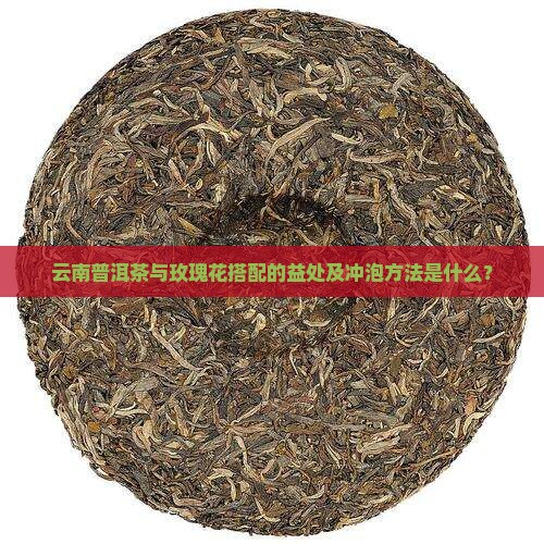 七彩云南普洱茶玫瑰花
