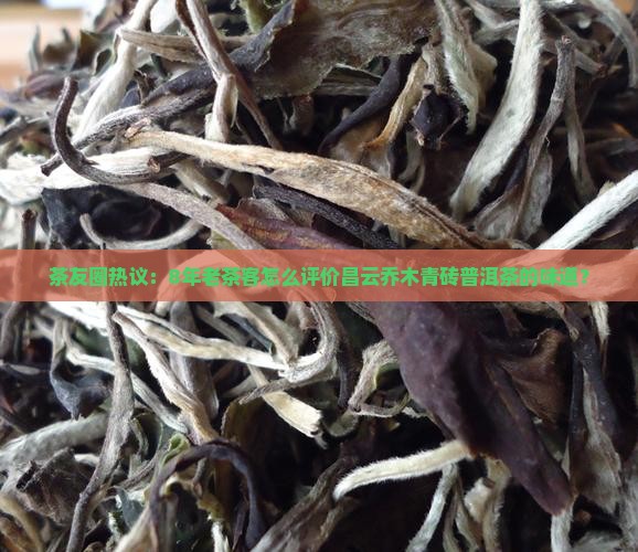 昌云乔木青砖普洱茶