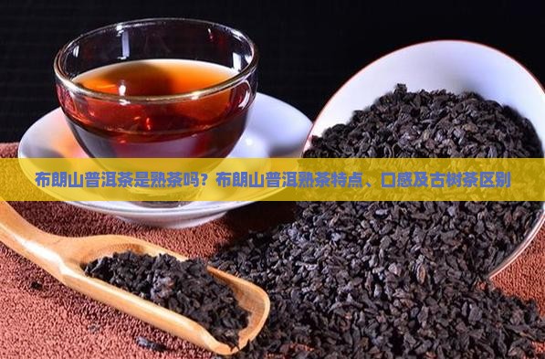 布朗山普洱茶是熟茶吗