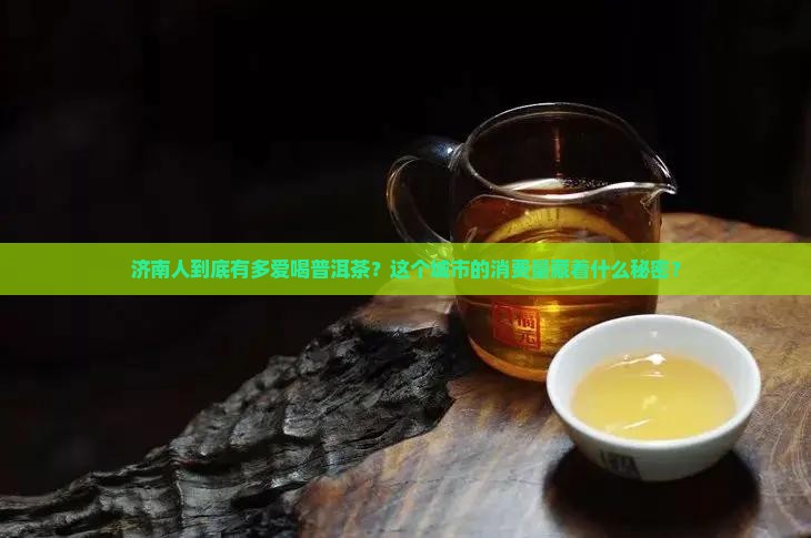 济南市场普洱茶消费量