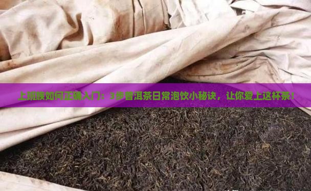 茶叶普洱茶喝法